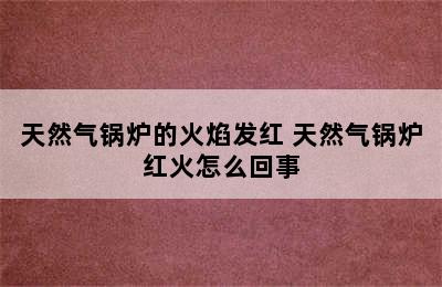 天然气锅炉的火焰发红 天然气锅炉红火怎么回事